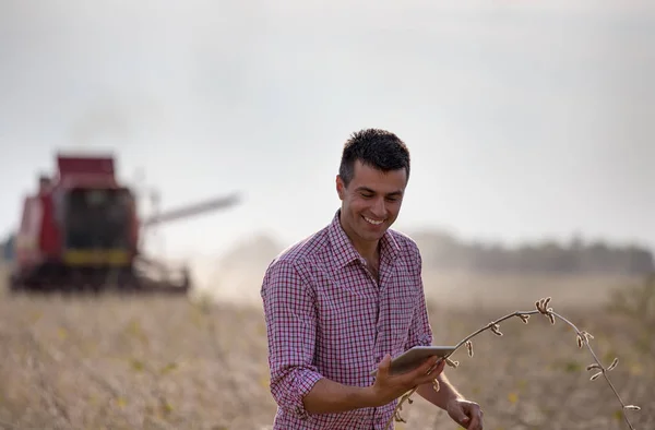 Happy farmer with tablet standing in soybean field during harvest