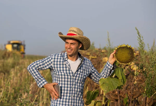 Handsome Farmer Straw Hat Holding Tablet Checking Quality Sunflower Seeds — Stock Photo, Image