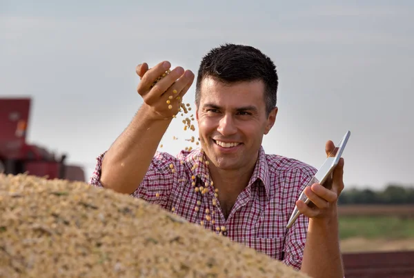 Bell Agricoltore Soddisfatto Che Tiene Mano Cereali Soia Rimorchio Dopo — Foto Stock