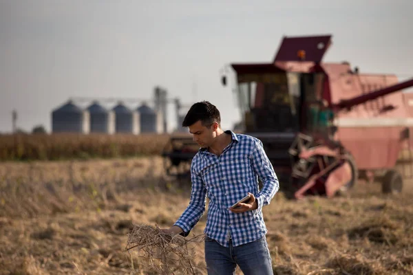 Farmář Tablet Drží Brčka Sóji Kombajn Pracuje Pozadí — Stock fotografie