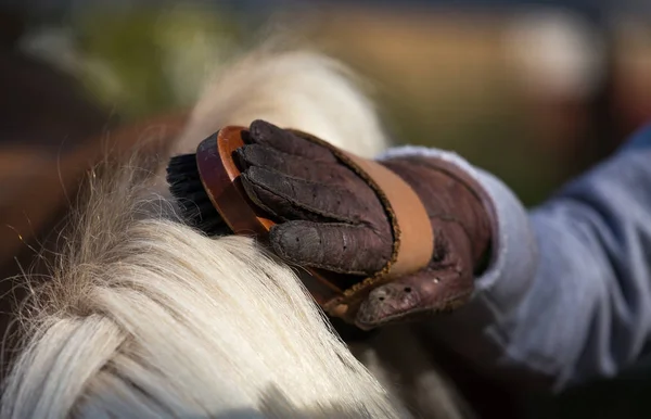 Nahaufnahme Der Kinderhand Mit Handschuhen Die Bürste Halten Und Pony — Stockfoto