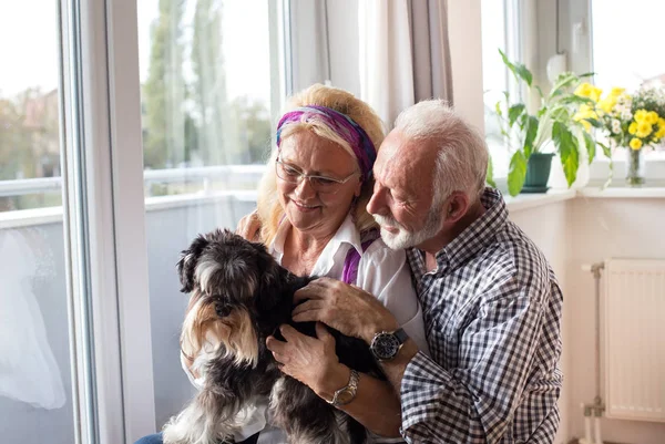 幸福的老夫妇抱着狗在家 享受在时刻 — 图库照片