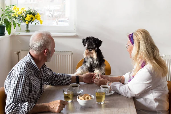 Senior Pareja Sentado Mesa Comedor Con Perro —  Fotos de Stock