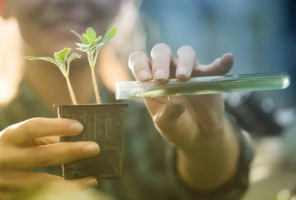 Mujer Joven Bonita Agricultora Vertiendo Productos Químicos Maceta Con Plántulas — Foto de Stock