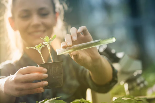 Mujer Joven Bonita Agricultora Vertiendo Productos Químicos Maceta Con Plántulas — Foto de Stock