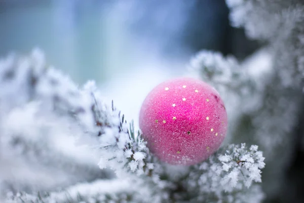 Pink Christmas Ball Standing Fir Tree Covered Snow — Stock Photo, Image