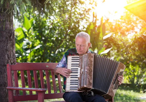 Älterer Mann Spielt Akkordeon Auf Bank Garten — Stockfoto