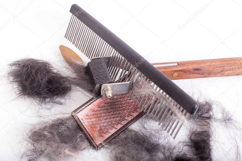 Top view of grooming equipment and dog's fur on white background