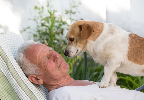 Homme Âgé Reposant Dans Jardin Avec Chien Sur Ses Coffres — Photo