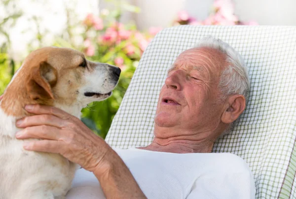 Anciano Descansando Jardín Con Perro Pecho — Foto de Stock