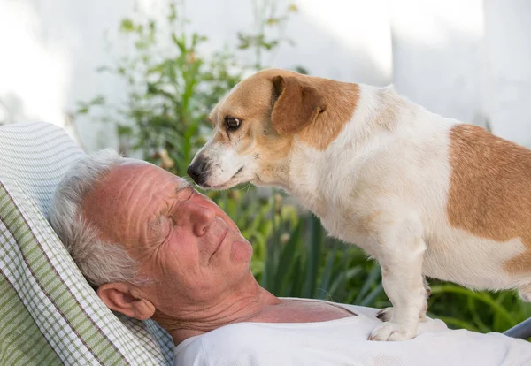 老人在花园里休息 狗在他的箱子上 闻和亲吻他 — 图库照片