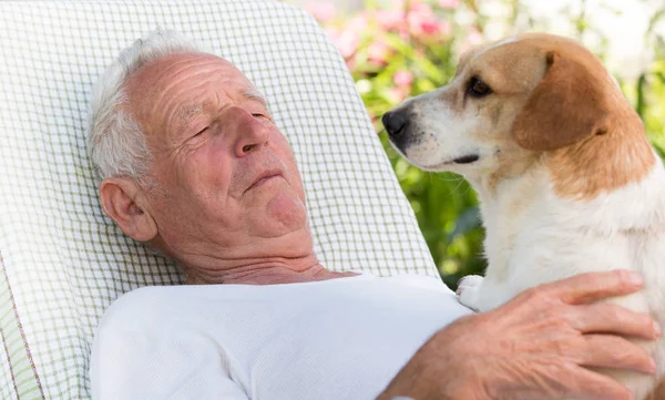 Yaşlı adam bahçede köpekle onun göğüslerine dinleniyor.
