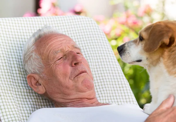 Anciano Descansando Jardín Con Perro Pecho — Foto de Stock