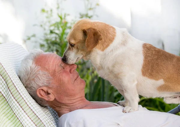 Äldre Man Vilar Trädgården Med Hund Hans Kistor — Stockfoto