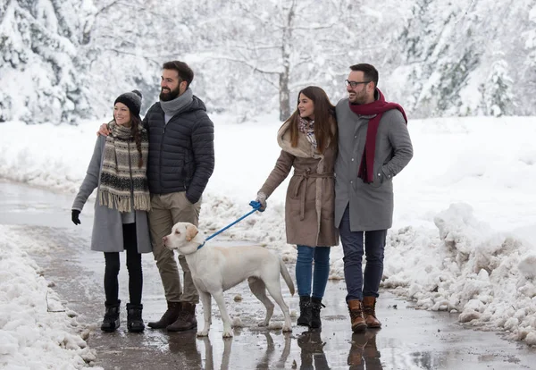 Zwei Paare Gehen Winter Mit Viel Schnee Park Spazieren — Stockfoto