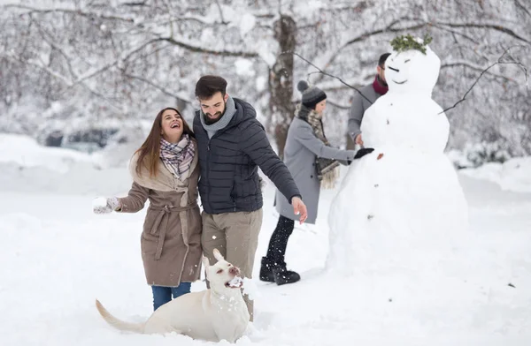Junges Paar Vergnügt Sich Mit Hund Auf Schnee Park — Stockfoto