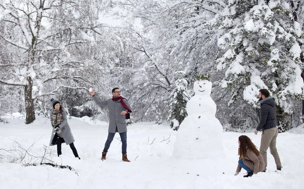 Zwei Paare Haben Spaß Auf Schnee Park Und Spielen Schneeballschlacht — Stockfoto