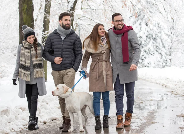 Zwei Paare Gehen Winter Mit Viel Schnee Park Spazieren — Stockfoto