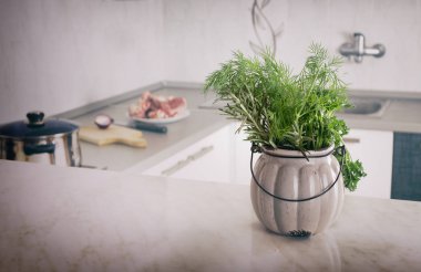 Mutfak tezgahında kase taze baharatlar