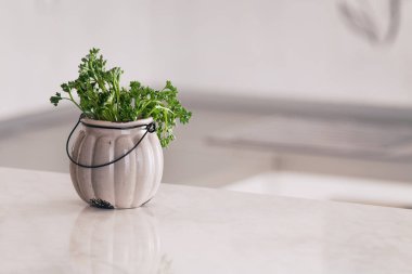 Mutfak Tezgah üzerinde baharatlar ile kase