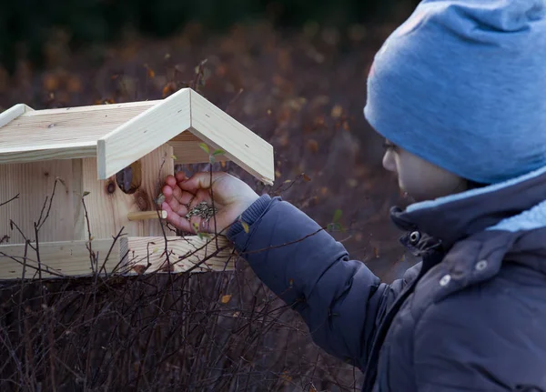Девушка с птичьим домом на снегу — стоковое фото