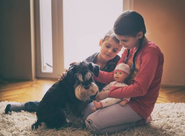 Halı üzerinde köpek ile oynayan çocuklar