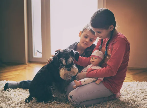 Kinder spielen mit Hund auf Teppich — Stockfoto