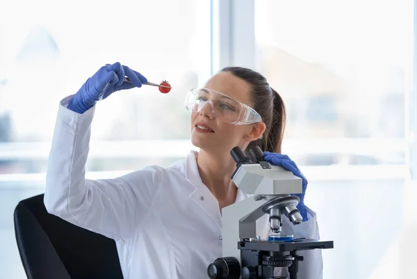 Biólogo con tomate en laboratorio — Foto de Stock