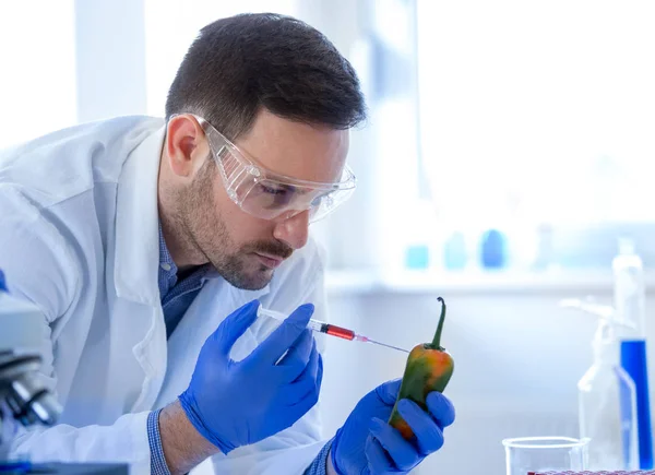 Wissenschaftler testet Pfeffer im Labor — Stockfoto