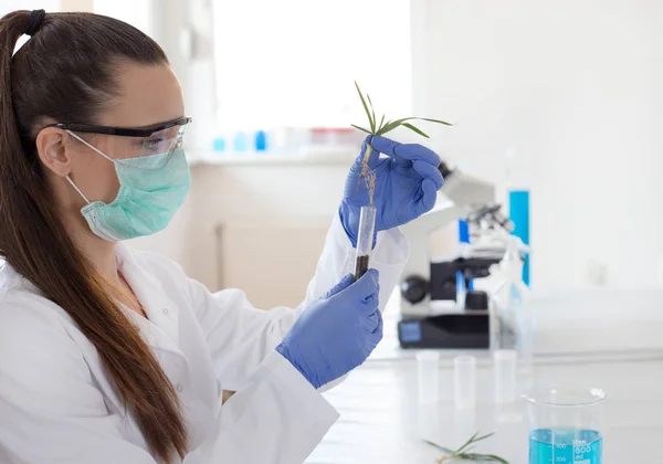 Biólogo sosteniendo plántulas por encima del tubo de ensayo — Foto de Stock