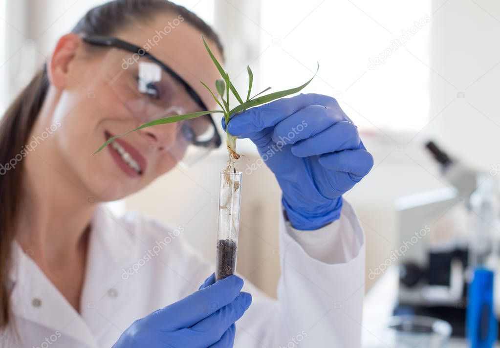 Biologist holding seedling above test tube