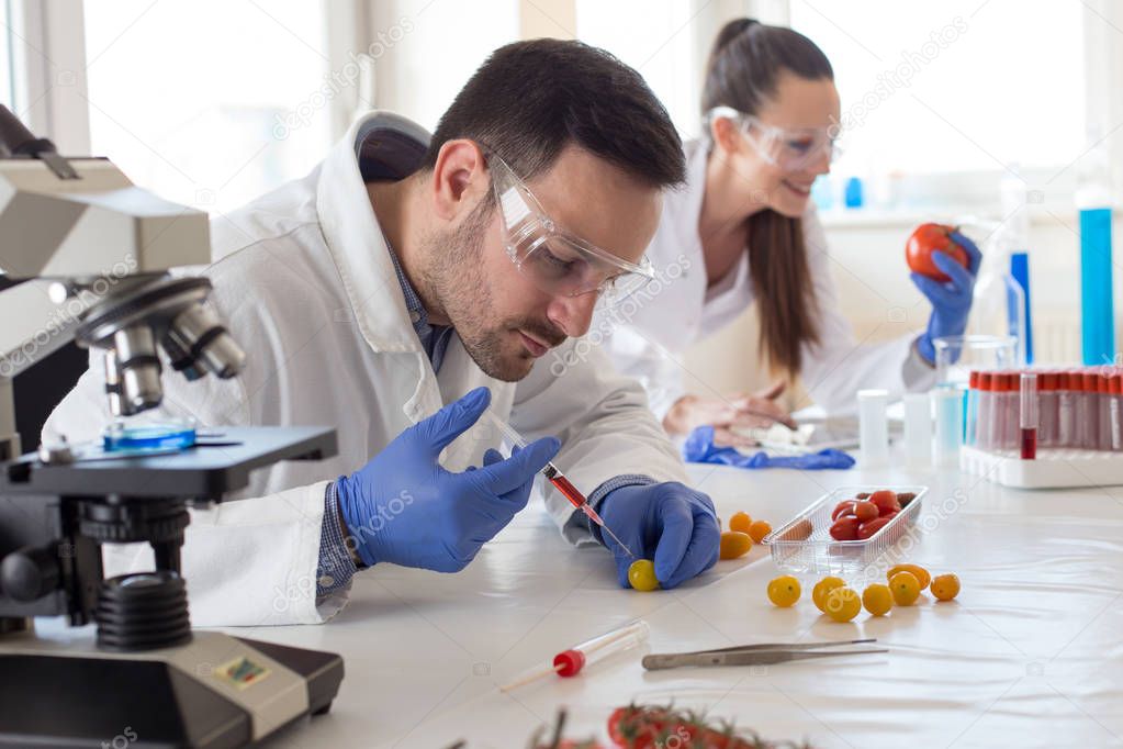 Scientists  with vegetables in laboratory