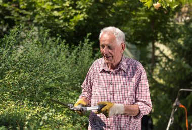 Yaşlı adam bahçede çit kırpma