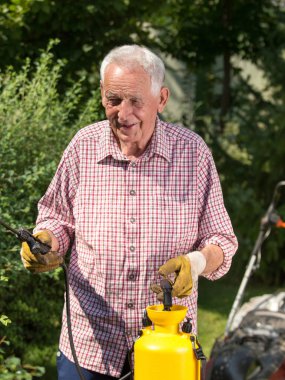 Yaşlı adam püskürtme bitkileri