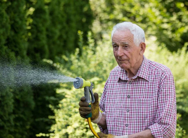 Oude man drenken planten in de tuin — Stockfoto