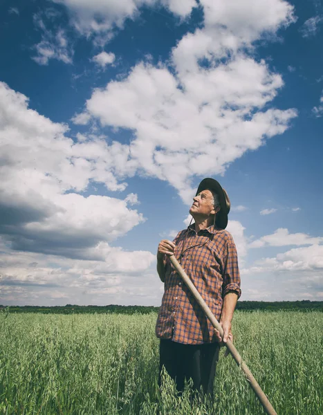 Campesino mayor en el campo — Foto de Stock