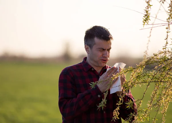 Man with allergy on pollen — Stock Photo, Image