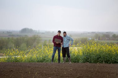 Tecavüz alanında dizüstü bilgisayar ile Çiftçiler