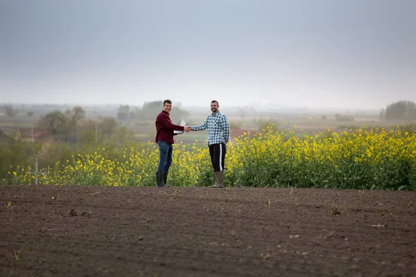 Фермеры пожимают руки на поле рапса — стоковое фото