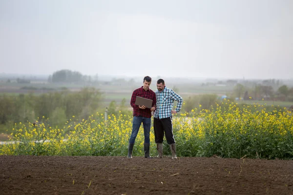 Фермеры с ноутбуком в опасном поле — стоковое фото