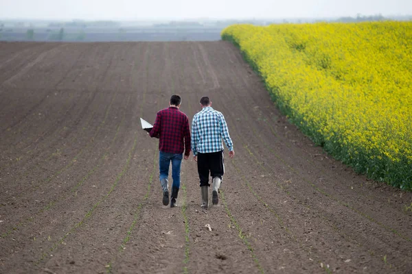 Bauern mit Laptop im Rapsfeld — Stockfoto