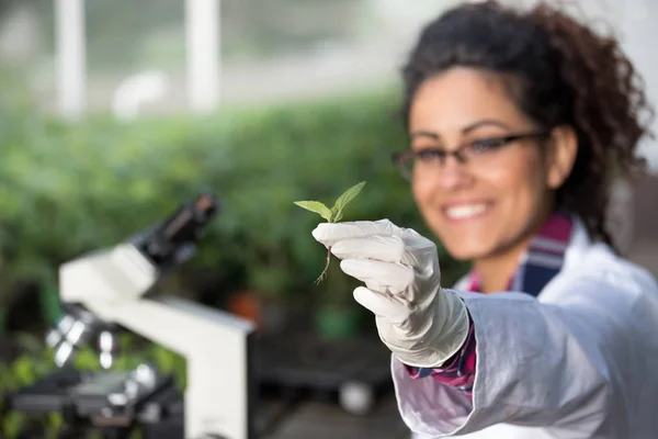 Biolog drží výhonek s rukavicemi — Stock fotografie