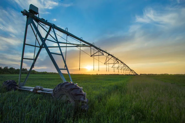 Irrigation system n wheat field — Stock Photo, Image