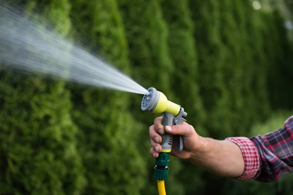 Mann gießt Pflanzen im Garten — Stockfoto