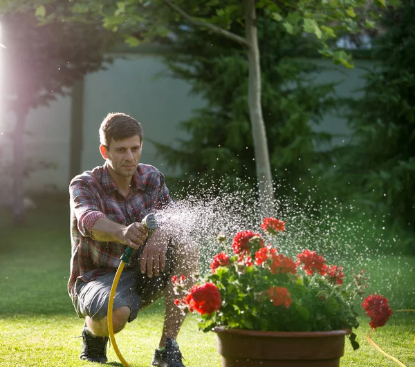 El hombre regando las plantas en el jardín — Foto de Stock