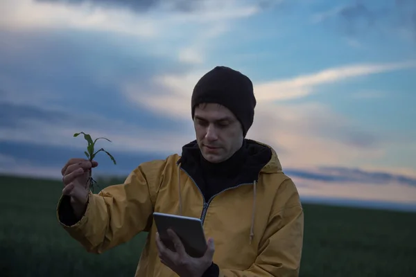 Boer met Tablet en maïs Sprout — Stockfoto