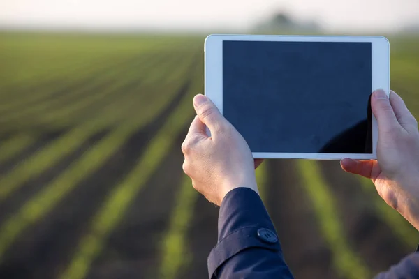 Agricultor trabajando en tableta en el campo —  Fotos de Stock