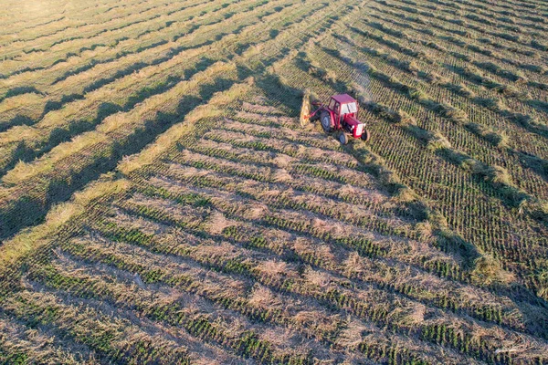 Aerial image of tractor with hay tedders — Stock Photo, Image