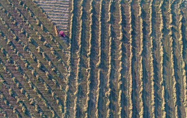 Saman ot kurutma makineleri ile traktör havadan görüntü — Stok fotoğraf