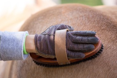 Fırça ile çocuk damat atı